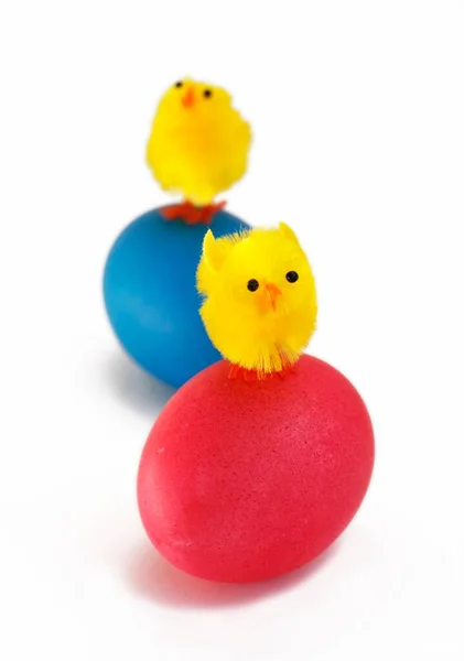Dvě Kuřata Umístěná Malovaných Velikonočních Vejcích — Stock fotografie