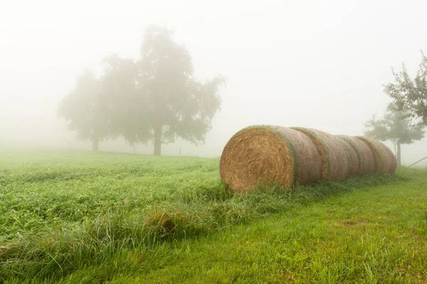 Straw Bales Field Autumn Ueberlingen Lake Constance Baden Wuerttemberg Germany — Stock Photo, Image