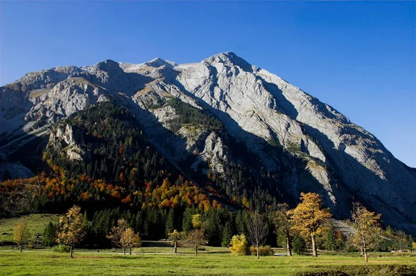 Ландшафтные Горы Карликовые Деревья Тироль Австрия Европа — стоковое фото