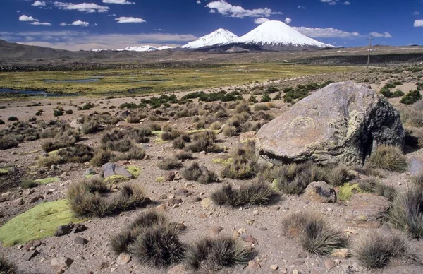 Valley Front Volcanoe Parinacota 6342 Volcanoe Pomerape 6250 Chile South — Fotografia de Stock