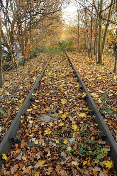 Disused Railway Line Bergisch Gladbach Bensberg North Rhine Westphalia Germany — Stock Photo, Image