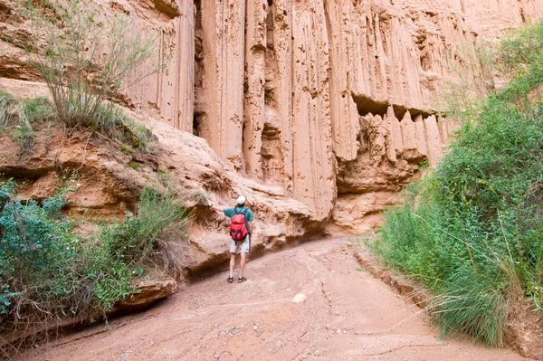 Hiker Konorchek Canyon Kyrgyzstan Asia —  Fotos de Stock