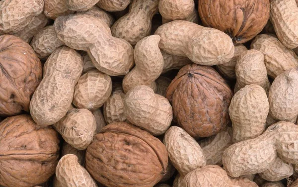 Peanuts Walnuts Arachis Hypogaea Juglans Regia — Zdjęcie stockowe