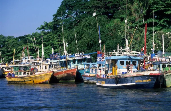 Old Fishing Boats Harbor Negombo Sri Lanka Asia — Stock Photo, Image