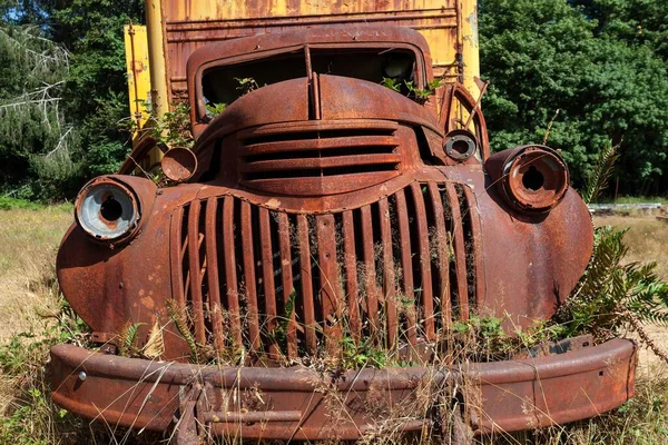 Plants Growing Out Vintage Truck Scrap Car Kestner Homestaed Olympic — Foto de Stock