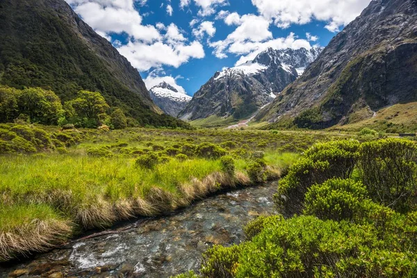 Creek Nel Fiordland National Park Sul Retro Mount Talbot Milford — Foto Stock