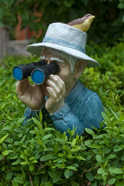 Figure Bird Hat Binoculars Looking Hedge Bavaria Germany Europe — Stockfoto