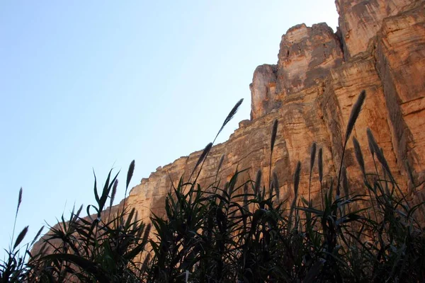 Santa Elena Canyon Big Bend Nemzeti Park Texas Usa Észak — Stock Fotó