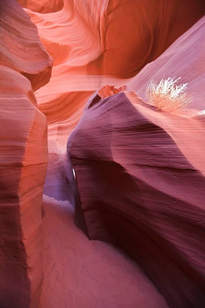 Antelope Canyon Bij Page Arizona Verenigde Staten Noord Amerika — Stockfoto