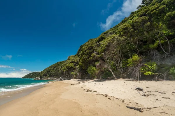 Praia Com Vegetação Tropical Pedreira Tonga Tonga Bay Abel Tasman — Fotografia de Stock