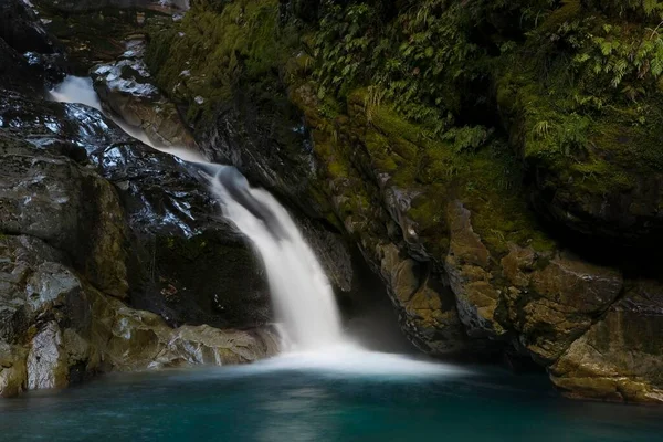 Vízesés Zöld Őserdőben Routeburn Pálya Délvidék Dél Sziget Zéland Óceánia — Stock Fotó