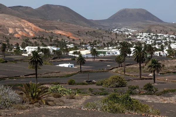 Blick Auf Haria Palmen Lavafelder Zwei Vulkane Hintergrund Lanzarote Kanarische — Stockfoto