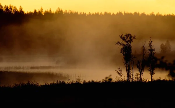 Midnight Fog Swedish Lappland Sweden — Φωτογραφία Αρχείου