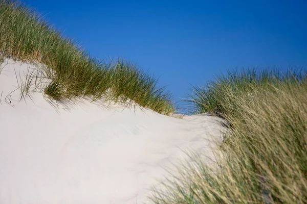 Spiekeroog Beach East Frisian Islands Lower Saxony Germany Europe — Fotografia de Stock