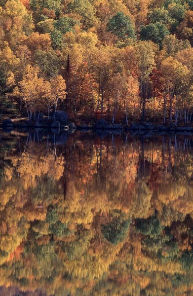 Autumn Forest Mirrored Lake Vermont Usa North America — Fotografia de Stock