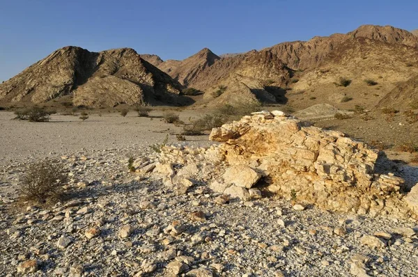 Rocky Desert Landscape Hajar Ash Sharqi Mountains Sharqiya Region Sultanate — Stockfoto