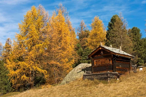 Small Holiday House Zermatt Valais Switzerland Europe — Stockfoto