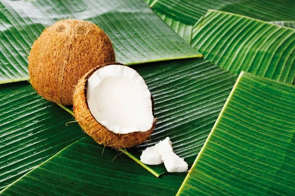 Coconuts (Cocos nucifera), and chunks of coconut on banana leaves