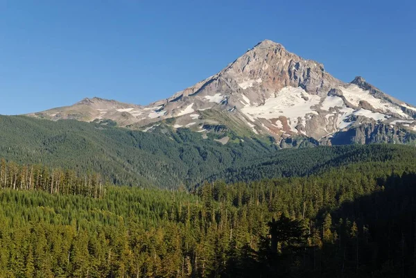 Hood Dağı Nın Batı Kıyısı Vocano Casade Range Oregon Abd — Stok fotoğraf