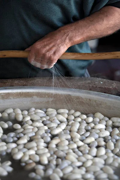 Silk Fibre Production Close View — Stock Photo, Image