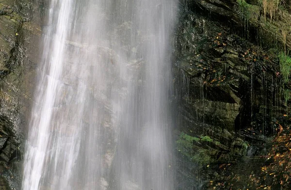 Водопад Возле Сольо Валь Брегалья Бержель Швейцария Европа — стоковое фото