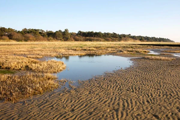Low Tide Lower Saxon Wadden Sea National Park Cuxhaven North — Foto de Stock