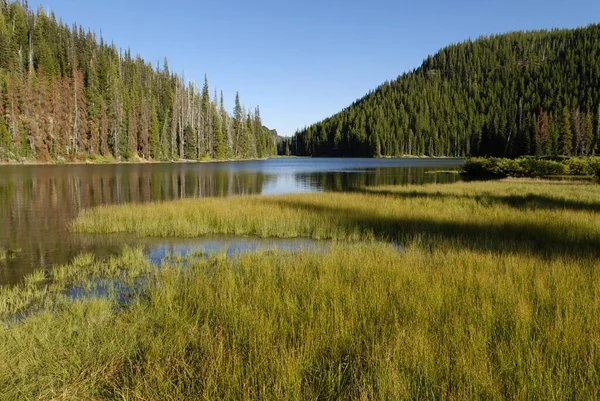 Devils Lake Cascade Lakes National Scenic Byway Cascade Range Oregon — Stockfoto