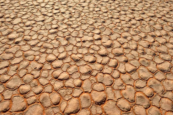 Patrones Barro Agrietados Playa Parque Nacional Tassili Ajjer Desierto Del —  Fotos de Stock