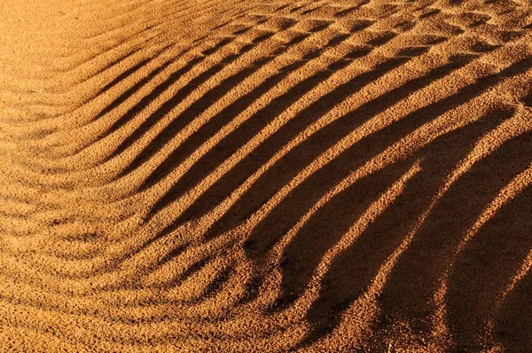 Rippled Surface Sand Dune Erg Admer Wilaya Illizi Algeria Sahara — Stock fotografie