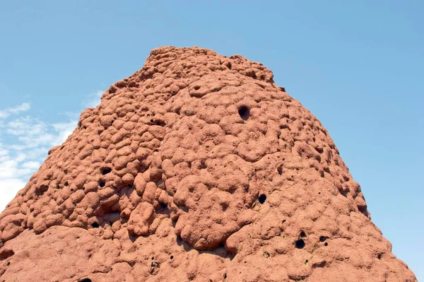 Detail Termite Hill Karijini National Park Pilbara Region Western Australia — Stockfoto