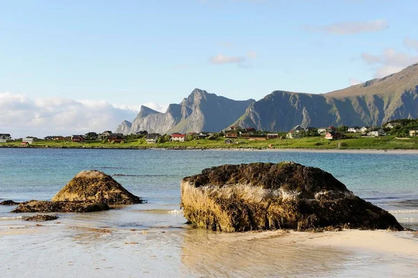 Sahilde Lofoten Kuzey Norveç Norveç Skandinavya Avrupa — Stok fotoğraf