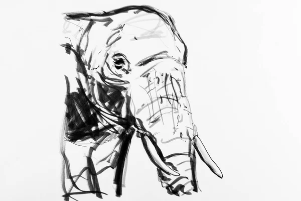 Elephant, drawing, artist, Gerhard Kraus, Kriftel