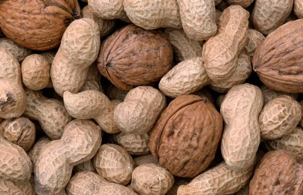 Peanuts Walnut Fruits Arachis Hypogaea Juglans Regia — Zdjęcie stockowe