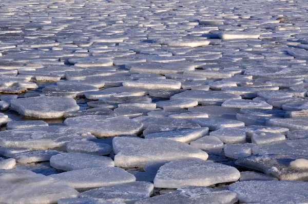 Rounded ice floes on the Baltic Sea off Stein, Probstei, Ploen district, Schleswig-Holstein, Germany, Europe