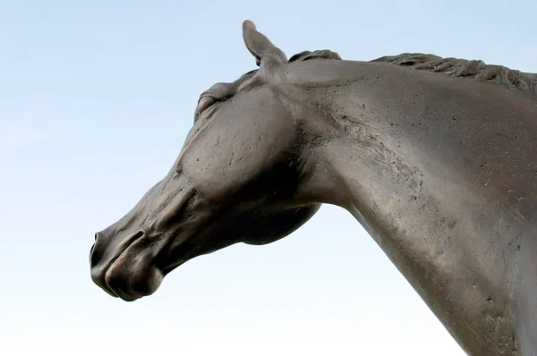 Cabeza Caballo Bronce Castillo Wickrath — Foto de Stock