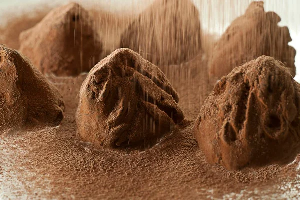 Truffles Dusted Cocoa Powder — Stockfoto
