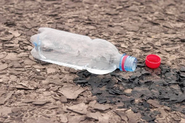 Empty Bottle Lies Open Ground — Photo