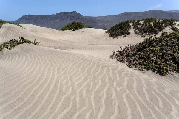 Sand Dunes Famara Beach Playa Famara Back Risco Famara Lanzarote — Stock Photo, Image