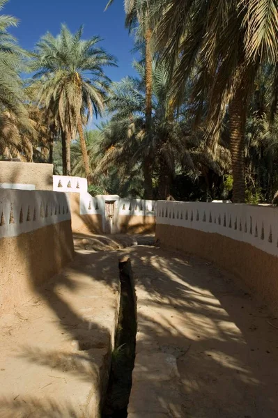 Palmtuin Bij Ghadames Ghadamis — Stockfoto