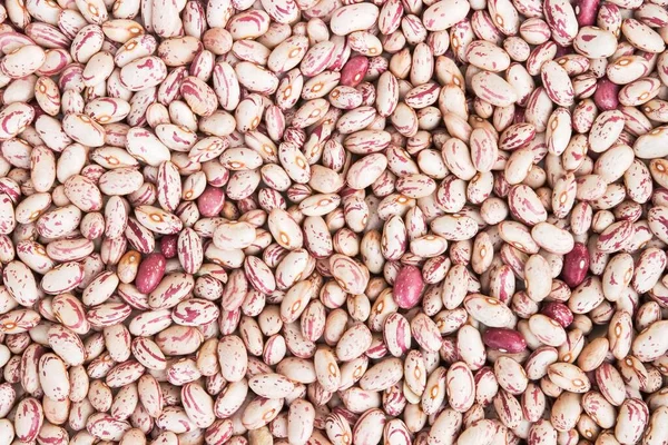 Dried Patterned Beans Background — Stockfoto