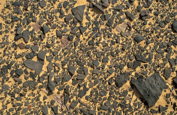 Desert Floor Texture Close View — Φωτογραφία Αρχείου