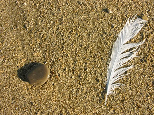 Feather Stone Sand — Stock Fotó