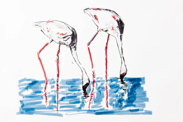 Two Flamingos Drawing Artist Gerhard Kraus Kriftel — Foto de Stock