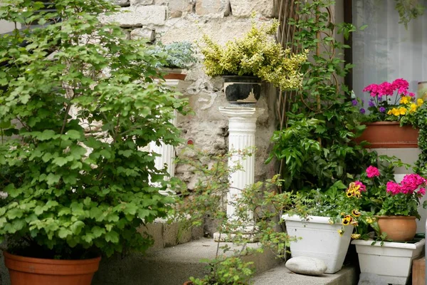 Old Part Freiburg Fribourg Switzerland Flower Pots Stairs — Stock Photo, Image