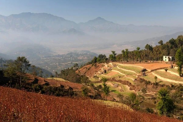 Vista Dos Campos Terraço Campo Perto Panauti Nepal Ásia — Fotografia de Stock