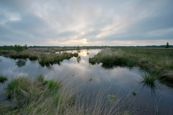 Charneca Amanhecer Emsland Baixa Saxônia Alemanha Europa — Fotografia de Stock