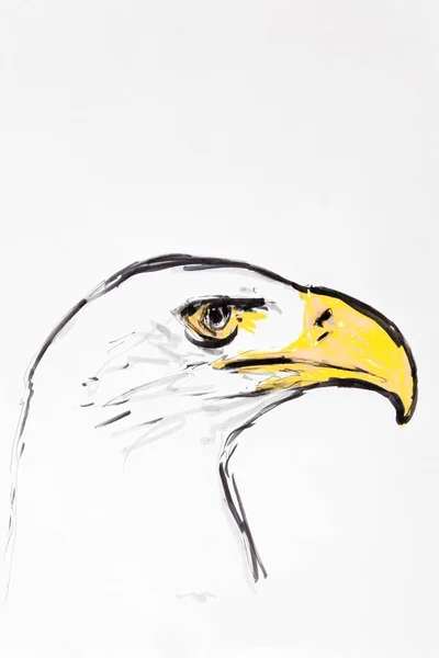 Head Eagle Drawing Artist Gerhard Kraus Kriftel — Zdjęcie stockowe