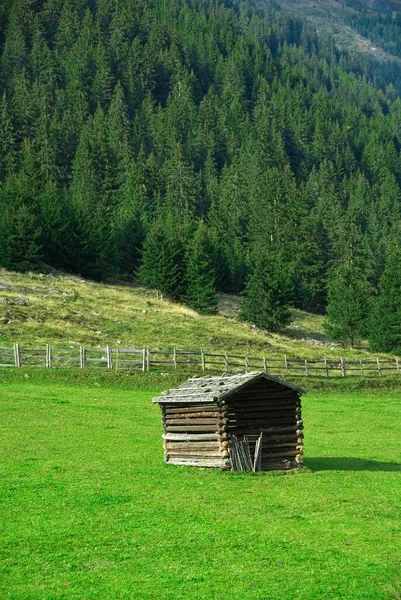 Huttenschuur Een Weiland Het Stubai Dal Tirol Oostenrijk Europa — Stockfoto