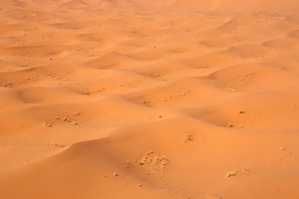 Dunes Erg Chebbi Morocco — Stockfoto