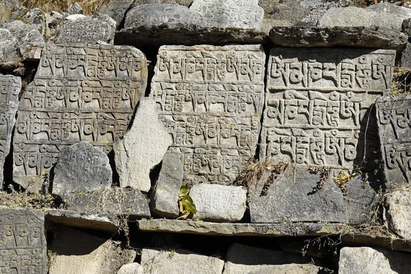 Mur Mani Kamień Mani Dolina Dudh Kosi Solukhumbu Khumbu Park — Zdjęcie stockowe